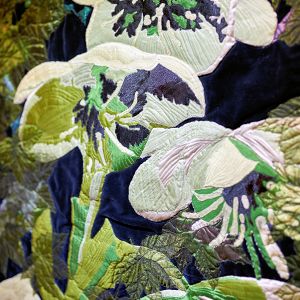 Liz Brooke Ward 